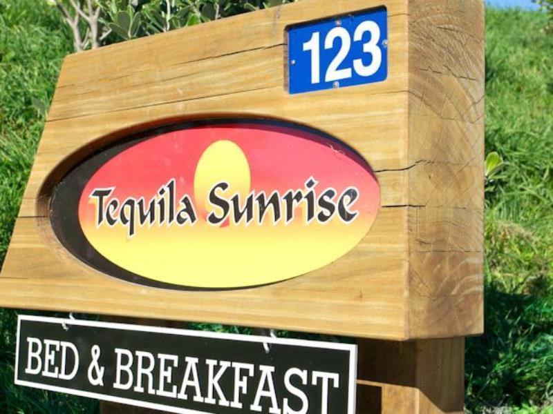 Napier B&B - Tequila Sunrise Eskdale Exteriér fotografie